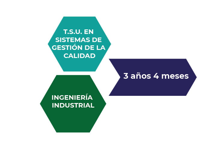 NOTICIA1